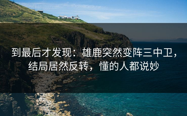 到最后才发现：雄鹿突然变阵三中卫，结局居然反转，懂的人都说妙